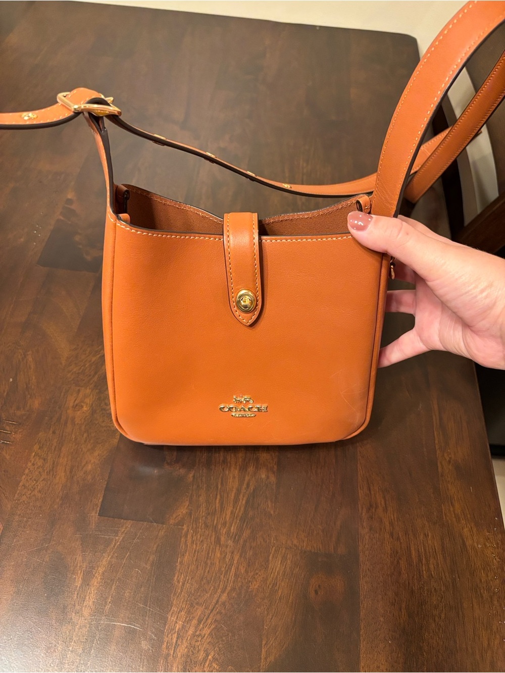 Coach Leather Crossbody Bag in Saddle Brown